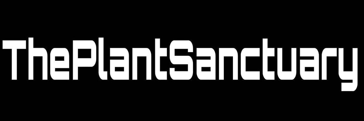 ThePlantSanctuary